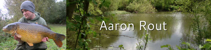 AaronRout-Banner