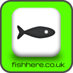 gear-fish-here-logo