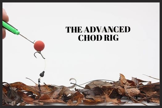 chod rig