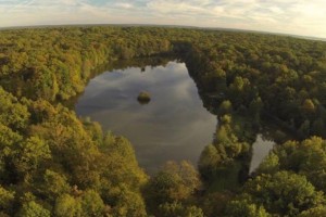 Lake Aerial shot